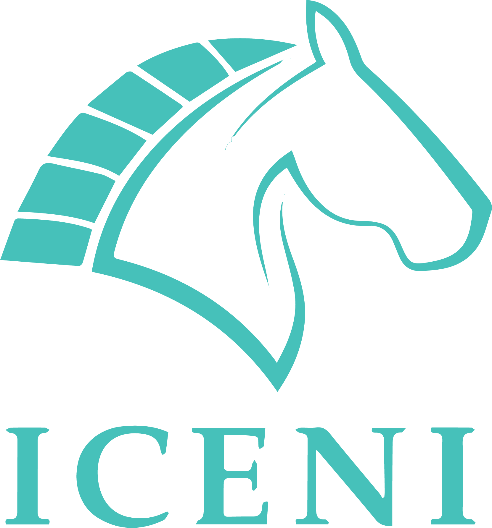 Iceni Financial Advisers